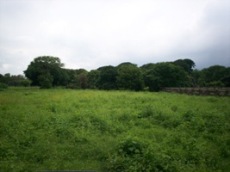 Id2755-Terreno en venta - Managua , Carretera Vieja Leon