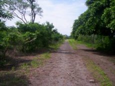 Id2779-Finca Agricola en venta - Managua , Carretera Nueva Leon