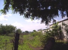 Id2784-Terreno en venta - Managua , Carretera Masaya