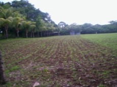 Id2862-Terreno en venta - Managua , Carretera Sur