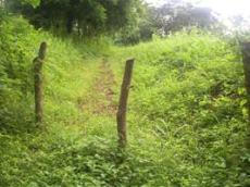 Id2901-Terreno en venta - Managua , Carretera Sur
