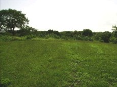 Id2928-Terreno en venta - Managua , Santo Domingo