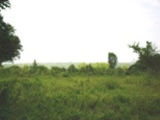 Id2946-Terreno en venta - Managua , Las Jaguitas