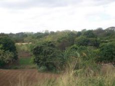 Id2950-Terreno en venta - Managua , Carretera Masaya