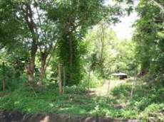 Id2960-Finca Agricola en venta - Managua , Carretera Vieja Leon
