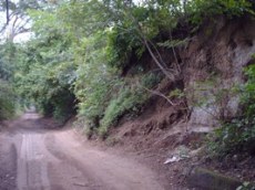 Id2978-Finca Agricola en venta - Managua , Carretera Nueva Leon