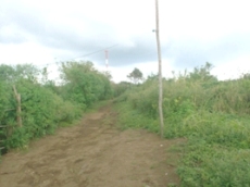 Id3003-Terreno en venta - Carazo , San Marcos