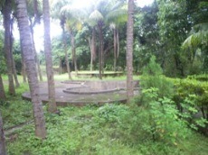Id3008-Finca Agricola en venta - Masaya , Masaya