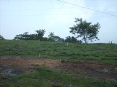 Id3057-Terreno en venta - Managua , Carretera Nueva Leon