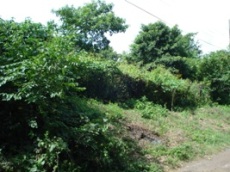 Id3075-Terreno en venta - Managua , Las Colinas