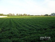 Id3106-Terreno en venta - León , Leon