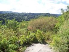Id3132-Terreno en venta - Managua , Santo Domingo