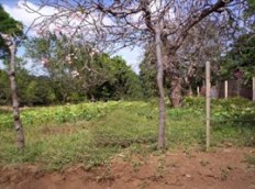 Id3154-Terreno en venta - Managua , Las Cumbres