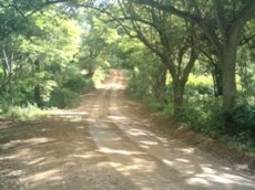 Id3164-Finca Agricola en venta - Rivas , Tola