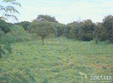 Id3237-Terreno en venta - Managua , Carretera Nueva Leon