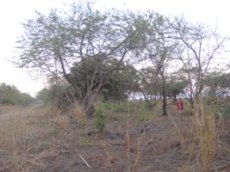 Id3248-Terreno de Playa en venta - Managua , Montelimar