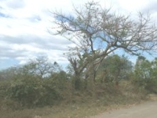 Id3296-Terreno en venta - Managua , Villa Libertad