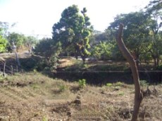 Id3322-Terreno en venta - Managua , Ticuantepe