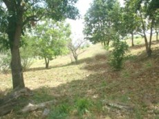 Id3330-Terreno en venta - Managua , Carretera Sur