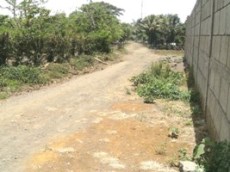 Id3413-Terreno en venta - Carazo , Dolores