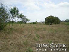 Id3466-Finca Agricola en venta - Carazo , Santa Teresa