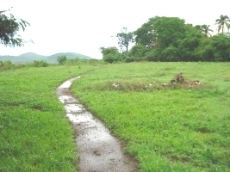 Id3482-Terreno en venta - Managua , Carretera Nueva Leon