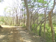 Id3492-Terreno de Playa en venta - Rivas , Tola