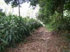 Id3501-Terreno en venta - Carazo , San Marcos