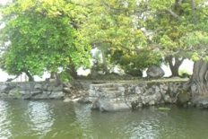 Id3515-Isla en venta - Granada , Isletas