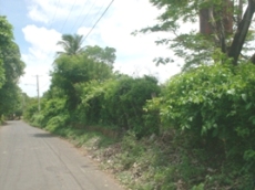 Id3517-Terreno en venta - Managua , Esquipulas