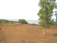 Id3526-Terreno de Playa en venta - León , El Transito
