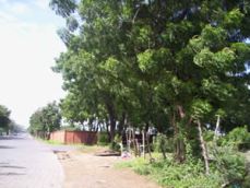 Id3546-Terreno en venta - Managua , Busto Jose Marti