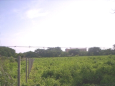 Id3562-Terreno en venta - Managua , Colonia el Periodista