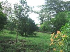 Id3563-Terreno en venta - Carazo , San Marcos