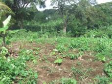 Id3567-Terreno en venta - Managua , Ticuantepe