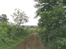 Id3576-Terreno en venta - Managua , Pista Suburbana