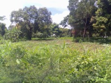 Id3593-Terreno en venta - Masaya , Tisma
