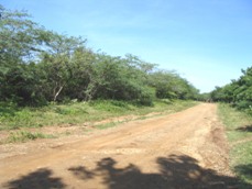 Id3598-Terreno de Playa en venta - Carazo , Huehuete
