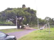 Id3605-Terreno en venta - Managua , Las Colinas