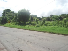 Id3607-Terreno en venta - Managua , Carretera Vieja Leon
