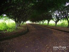 Id5229-Terreno en venta - Managua , Villa Fontana Norte