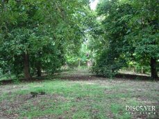 Id5248-Terreno en venta - Managua , San Isidro de la Cruz Verde