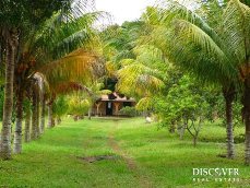 Id5261-Finca Agricola en venta - Carazo , Jinotepe