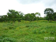 Id5262-Finca Agricola en venta - Masaya , Masatepe