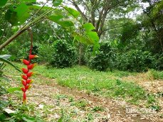 Id5263-Finca Agricola en venta - Masaya , Masatepe
