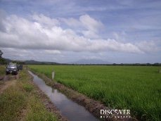 Id5264-Finca Agricola en venta - Rivas , Rivas