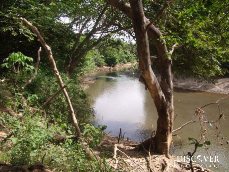 Id5265-Finca Agricola en venta - Rivas , Rivas