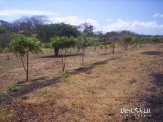 Id5299-Terreno en venta - Masaya , Catarina
