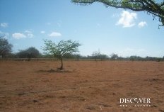 Id5308-Finca Agricola en venta - Rivas , Rivas