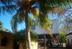 Id5309-Finca Agricola en venta - Rivas , Rivas